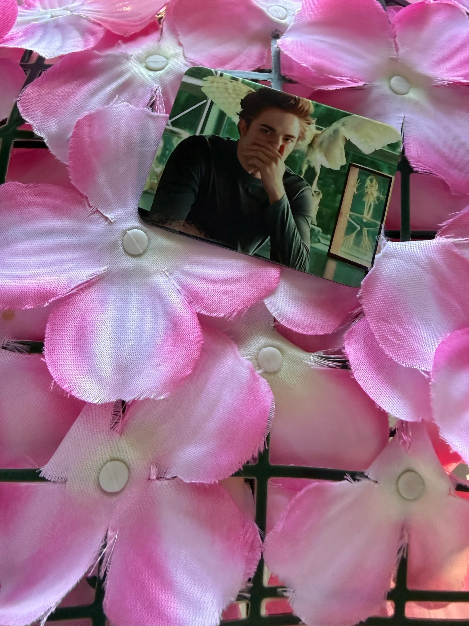 Imã Edward Cullen – photo 4
